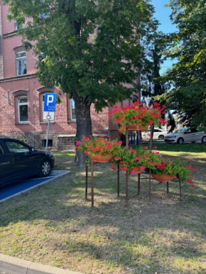 DWORCOWA 5 LOFT Numer 1 Żarów